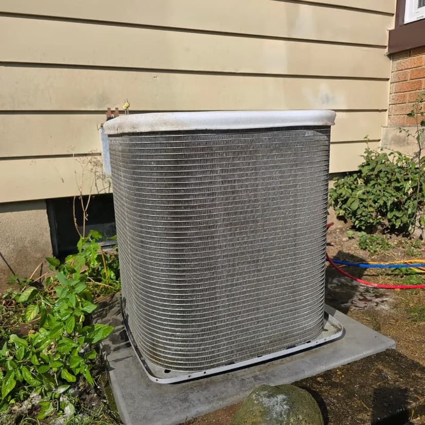 Fast and Reliable Emergency Services's image